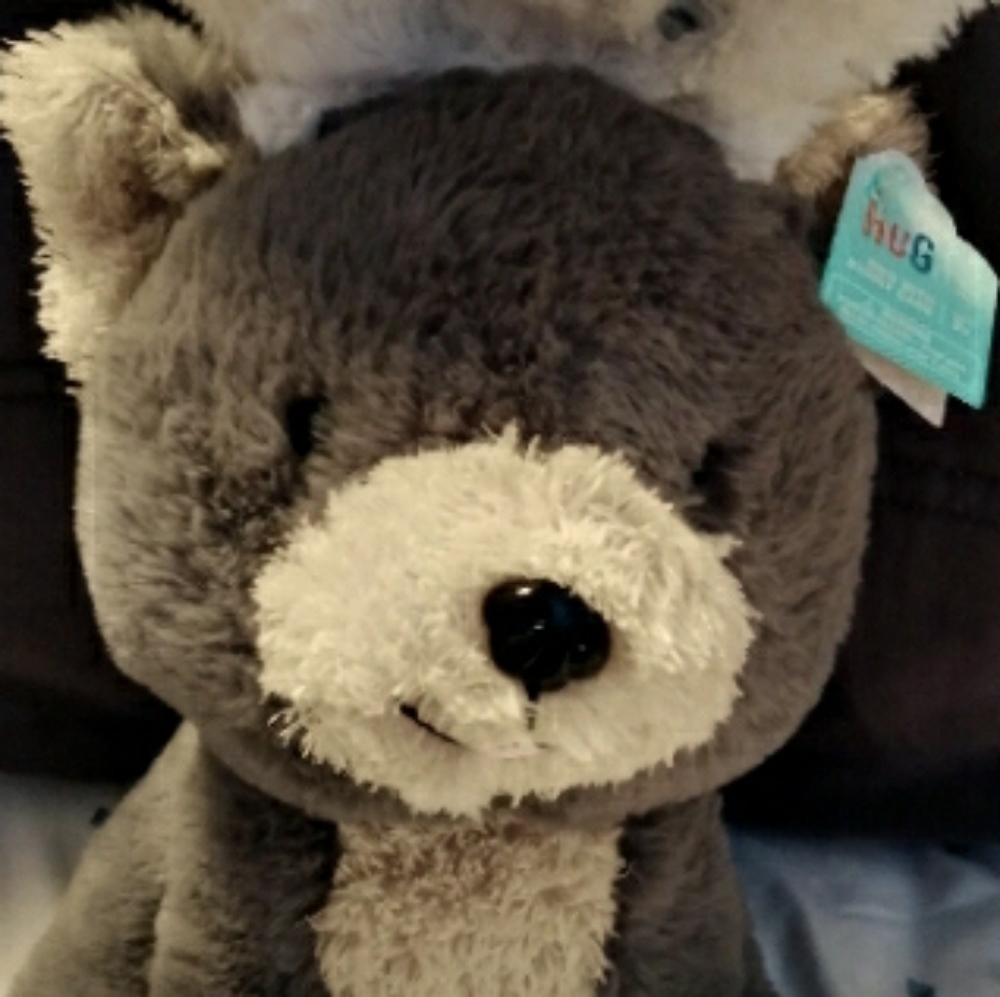 NWT Hug me Dog with bunny ears plush - Picture 2 of 3